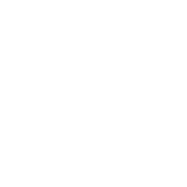 innertube icon