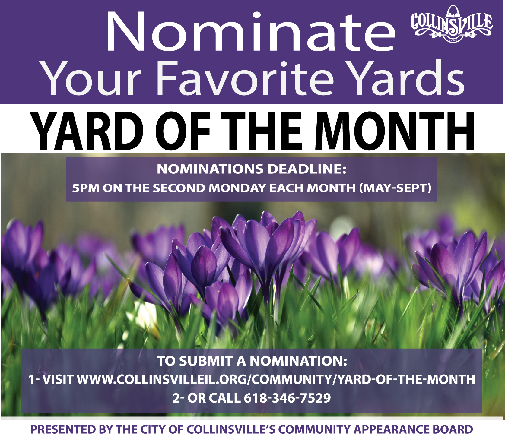 yard of the month 2021