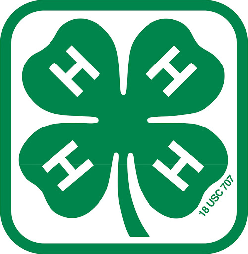 4H