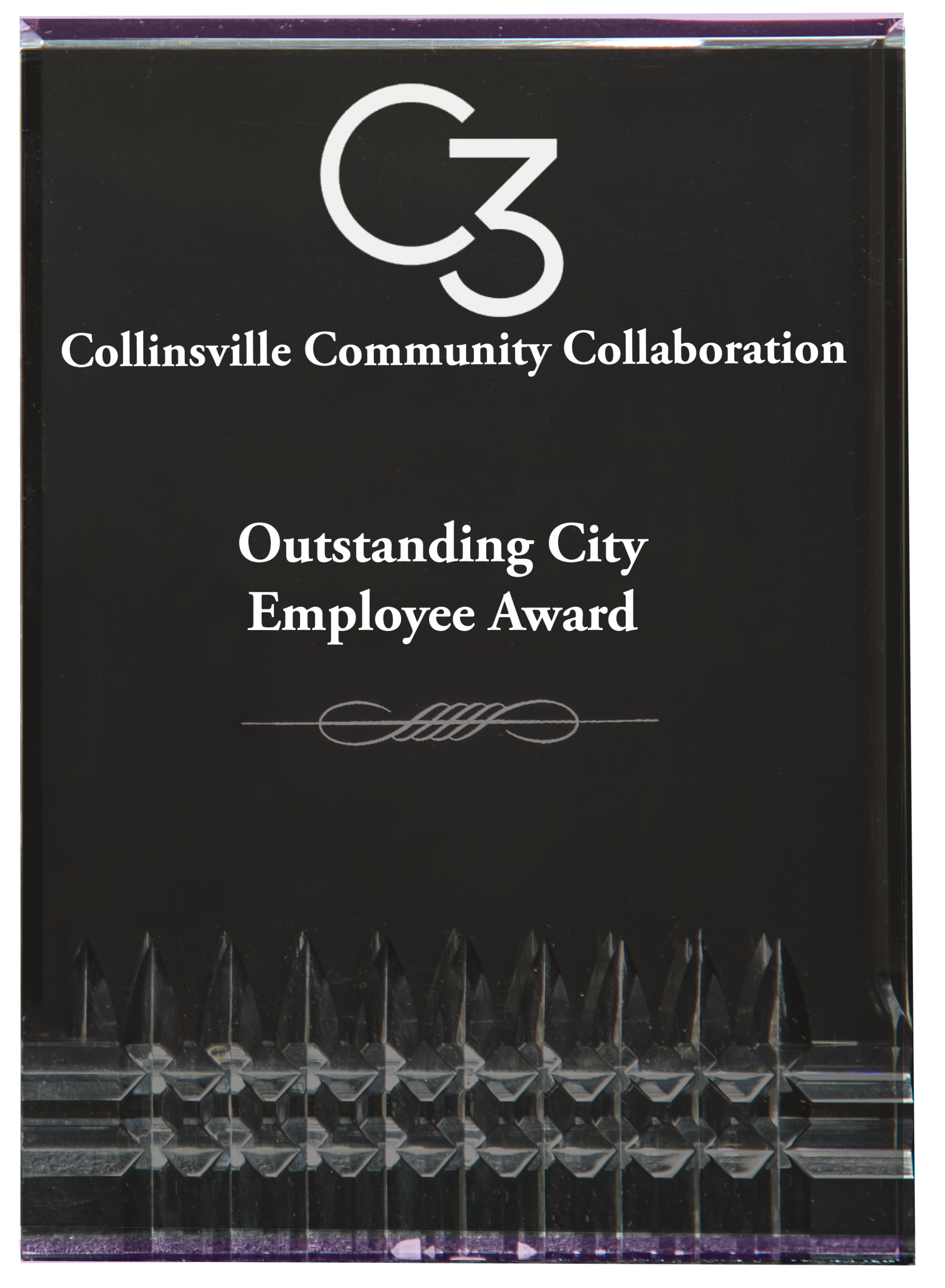 outstanding city employee award sample