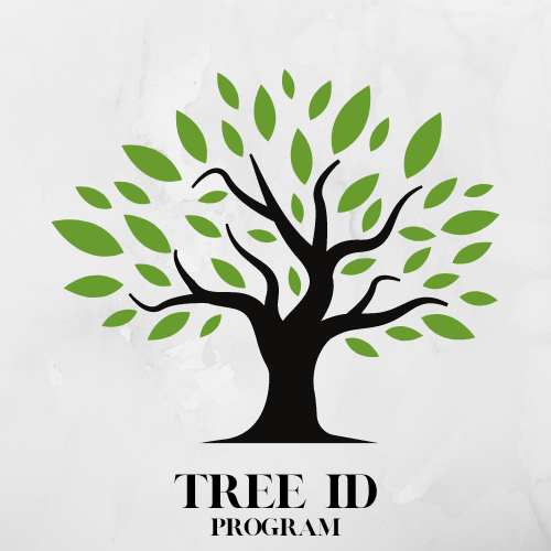 Tree ID Program Icon