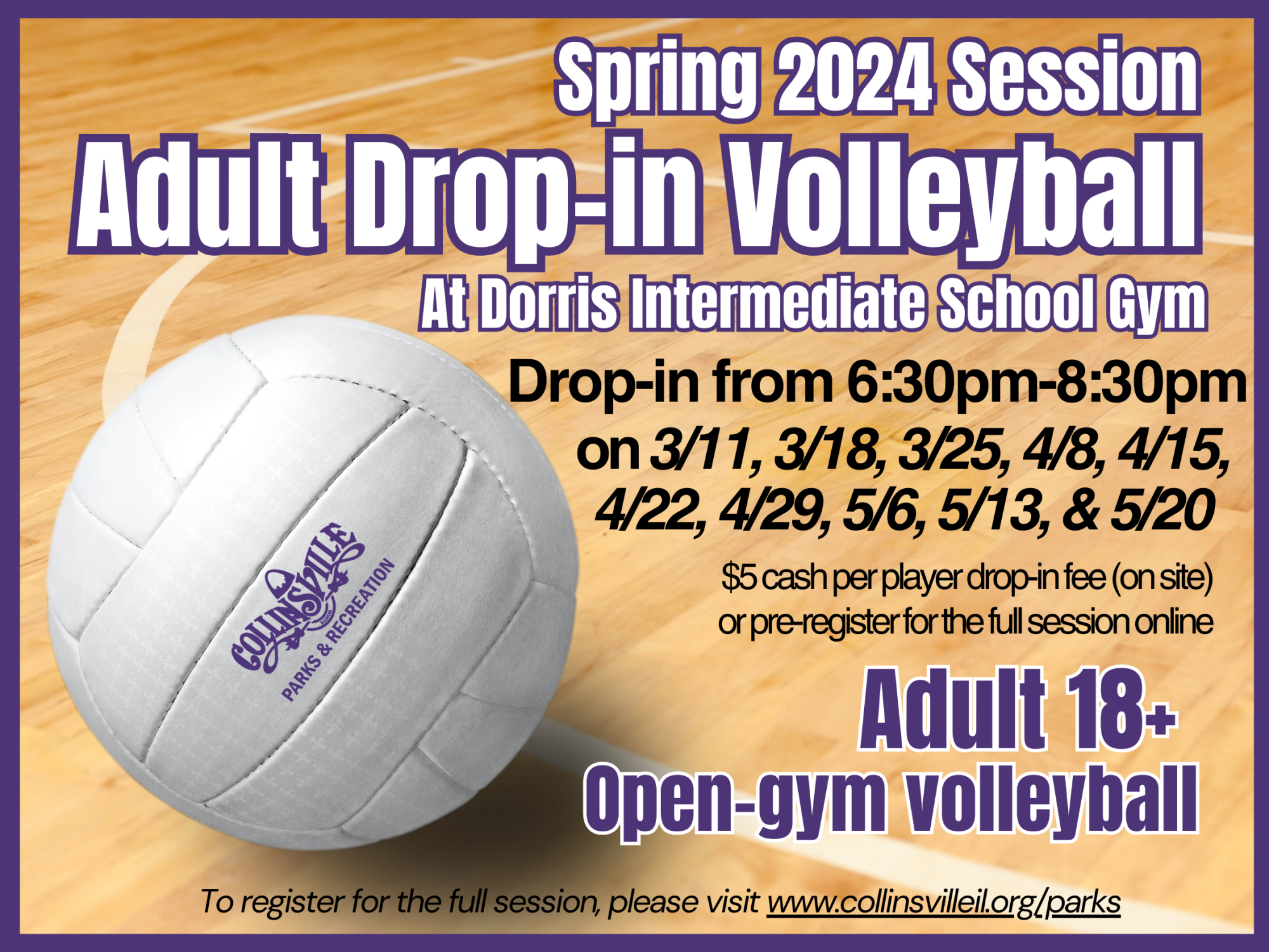 Volleyball Session Spring 2024