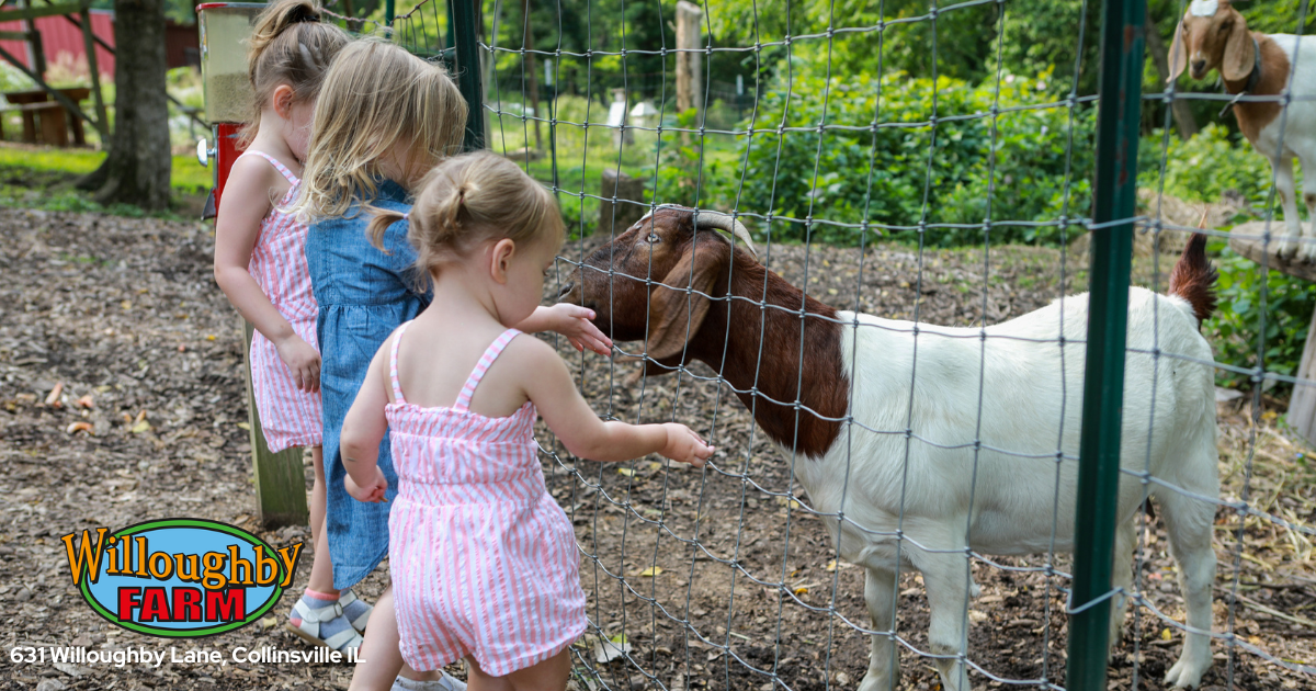 Willoughby Farm Kids feeding goats with Logo