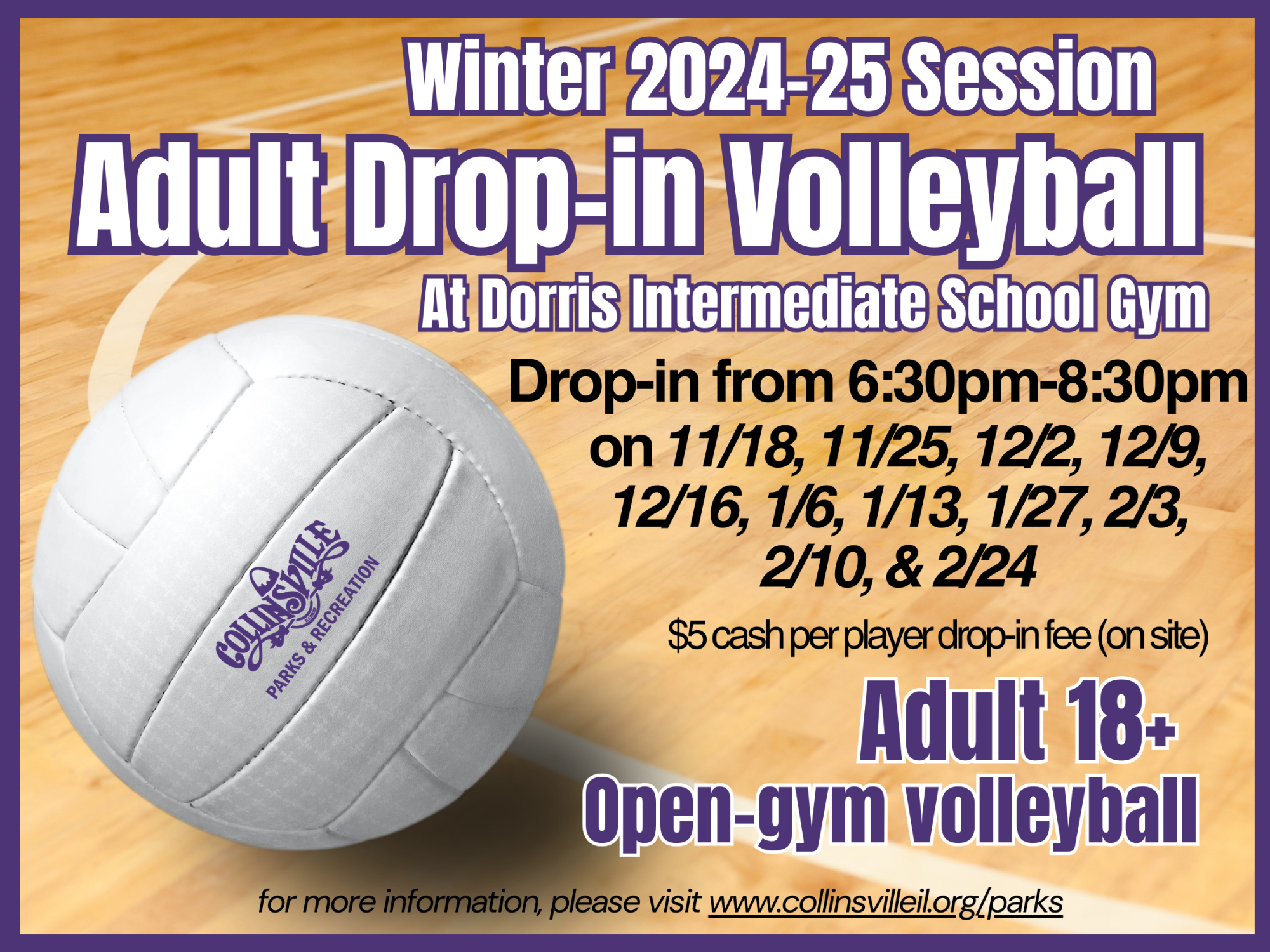 Volleyball Session Winter 2024-25